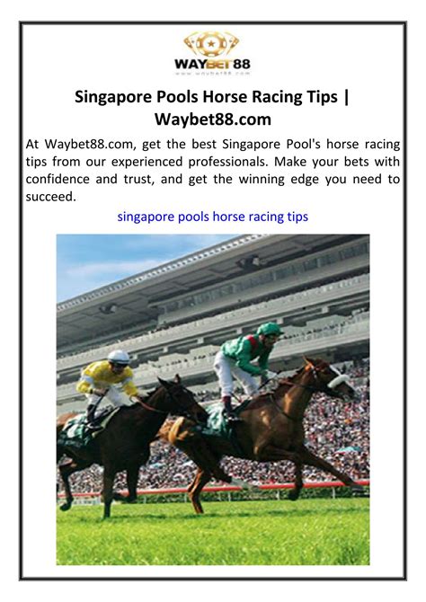 singapore pools race card|Singapore Pools Horse Racing: Tips, Result & Odds .